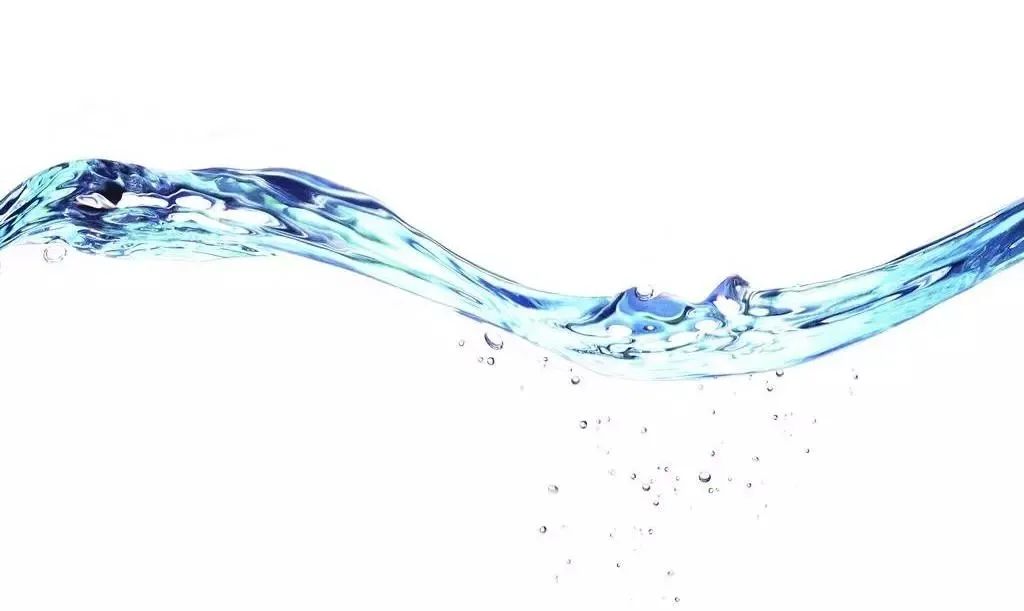 科技长三角 共享新未来(图12) 图片